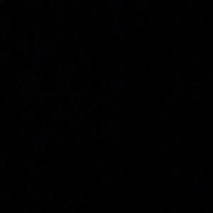 Meet your Posher, Averi